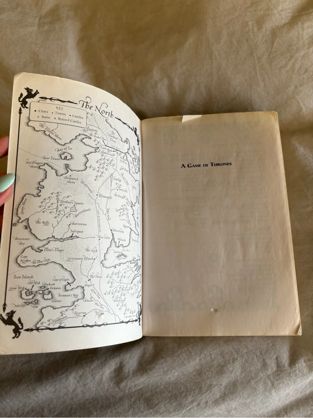 Game of Thrones Paperback Book